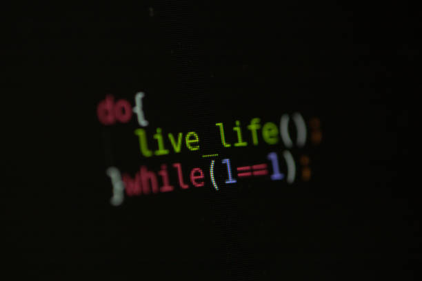 Web development Le développement web